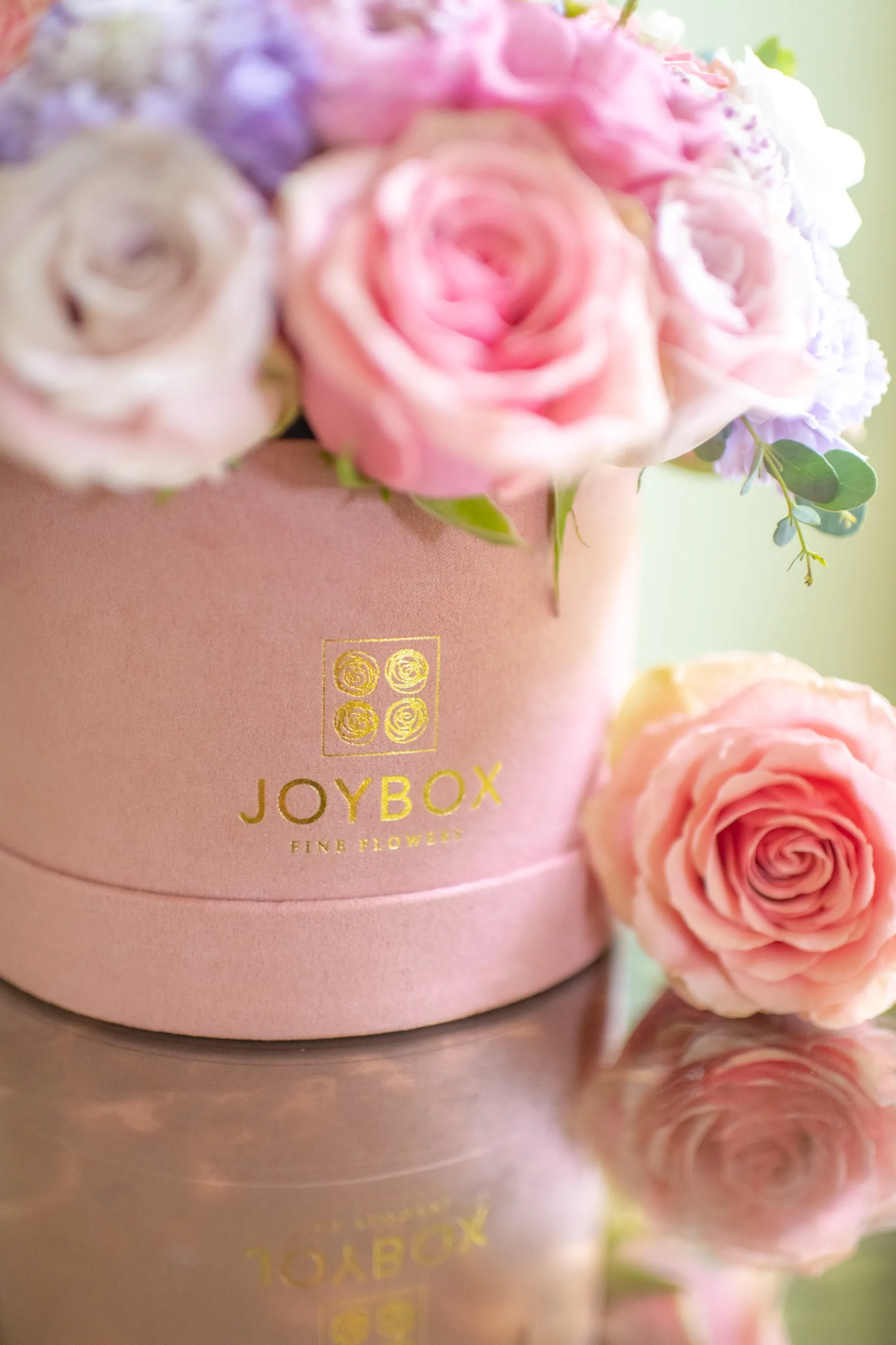 Pink Suede Luxe JoyBox