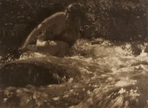The Brook