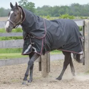 TK22600 Winter Horse Blanket 300G- Magnum Diablo