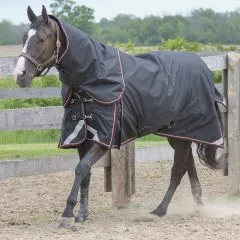 TK22600 Winter Horse Blanket 300G- Magnum Diablo