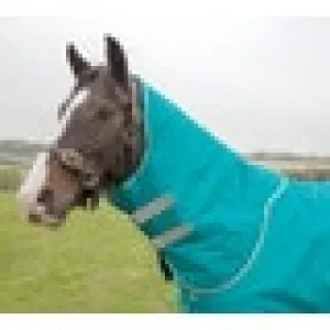 TKBLA817-M-Teal Neck Cover - Tempest