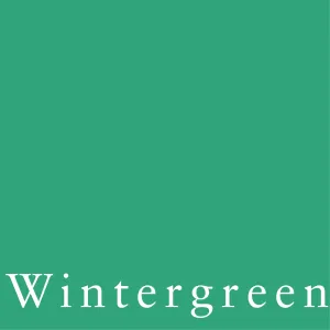Wintergreen - LUXE Solids Jersey Knit - 1/2 Metre